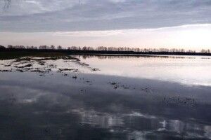 Ото зима: на Волині підтопило понад шість тисяч гектарів угідь 