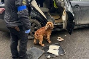 У пункті пропуску на Волині затримали жінку, яка хотіла вивезти 17 кг наркотиків (Фото)
