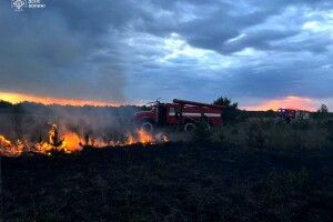 На Волині внаслідок людської недбалості зайнялася суха трава