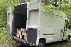 У заповіднику на Волині затримали крадіїв лісу