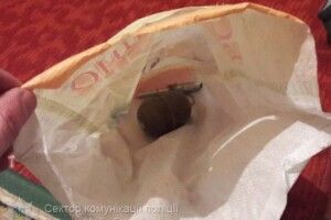 У місцевого мешканця вилучили гранату