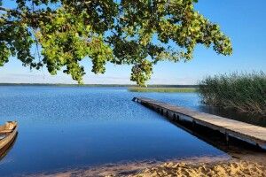 5 кг риби в руки: на Шацьких озерах закінчився нерестовий період