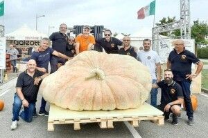 1226 кг! Ну як було не розпочати із розповіді про оце гарбузище?