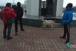 Під Волинською ОДА – протестують: мітингувальники привели козу