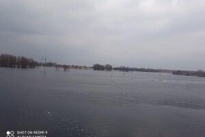 Річка Прип’ять вийшла з берегів (Фото)