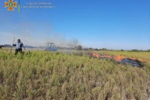 На Волині на гарячому зловили палія