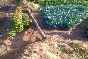 Знищені рашистські танки пристосували для ландшафтного дизайну (Фото)