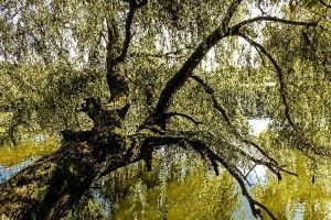  Купатися у Стиру лучанам стало безпечніше