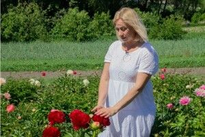 Квіткове поле на згадку про бабусю: волинянка вирощує 200 сортів півоній (Відео)