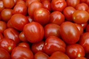 В Україну намагались ввезти заражені помідори