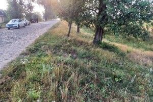 Поліція Рівненщини розшукує мотоцикліста 