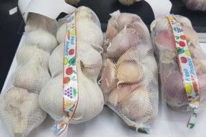 Україна експортувала першу партію часнику до Великої Британії