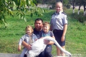 Волинський поліцейський врятував лебедя 