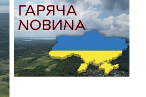 «Якби фіни вирішили відібрати Карелію, то найбільшою проблемою стали б комарі та гнус»