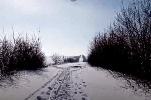 У селі на Горохівщині досі не прогорнули шлях до траси (Відео)