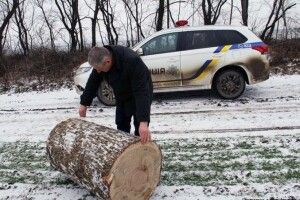 На подвір’ї волинянина знайшли украдені дубочки