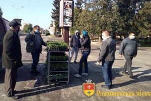 Сезонний ярмарок з продажу саджанців стартував у Рожищі