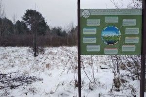 Туристам мандрівка Поліссям обійдеться недорого