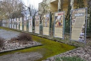 Луцьк: у «Музейному дворику» відкривається виставка до Дня добровольця