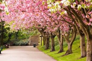 Якою буде погода на Волині в останні дні березня