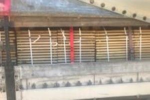 Волинські митники попередили спробу незаконного експорту дуба