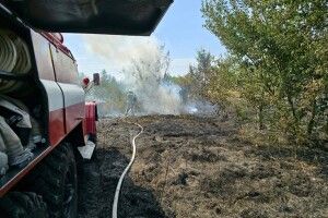 На Волині через займання сухостою вогонь ледь не перекинувся на житлові будинки