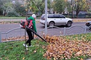 У місті на Волині опале листя прибирають по-новому (Фото)