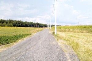 У селі під Луцьком на місці ґрунтових доріг пролягли білощебеневі