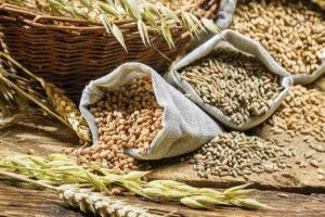 Куди поїхало українське збіжжя?