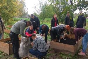 Що робиться на міському городі у Луцьку