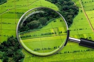 На Волині в ході земельних торгів вартість права оренди на ділянку зросла уп’ятеро