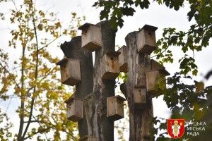 У Луцьку відкрили екостежку «Голоси парку» (Фото)