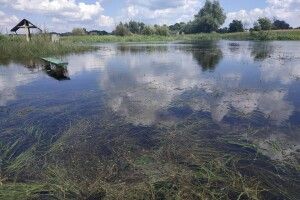 У Ратнівському та Старовижівському районах Волині можливе затоплення присадибних дiлянок