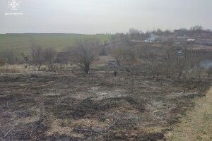 Поблизу Луцька зловили жінку, яка спалила 3 гектари трави у садовому товаристві