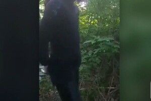 Священника у жіночому одязі затримали поліцейські Волині (Відео)