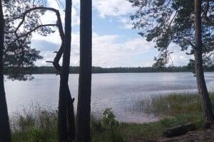 У Білому озері втопився молодий чоловік