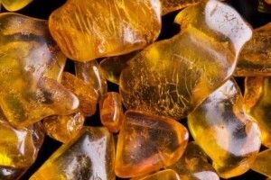 На Prozorro продали бурштин за мільйон: подробиці угоди