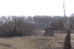Чому повісився 5-річний хлопчик?