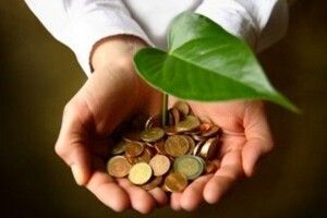 Скільки держлісгоспи Волині сплатили податків