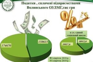 Волинські лісівники за півроку сплатили майже 175 мільйонів податків