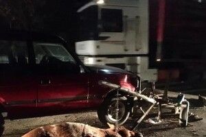 На Волині підвода в’їхала в позашляховик (Фото 18+)