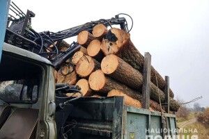 На Рівненщині злапали вантажівку, яка перевозила 40 соснових колод невідомого походження (Фото)