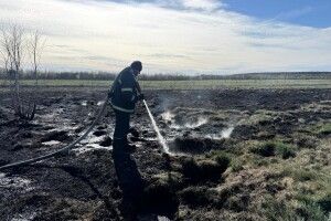 Через незагашену цигарку на Волині згоріло пів гектара торфу