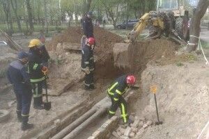 У Луцьку бійці ДСНС врятували 7 цуценят (Відео) 