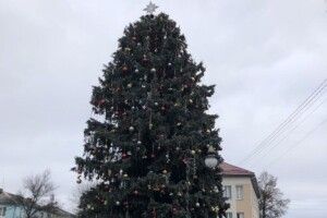 Сьогодні у Горохові урочисто відкриють ялинку (Фото)