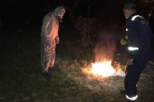У будинку жительки Рівненщини оселилися смертельно небезпечні комахи
