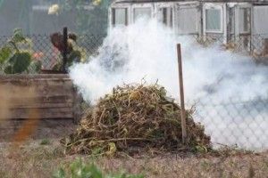 «Муніципали» закликали «стукати» на сусідів, які палять картоплиння