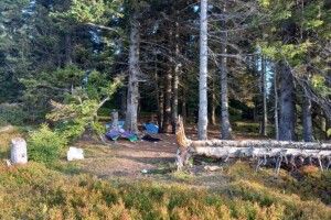 Осліпла на одне око та була при смерті: постраждала від вибуху в Карпатах туристка отямилася