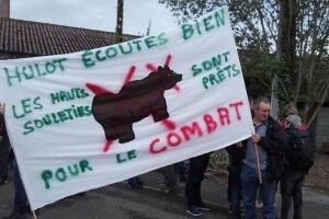 Французи вийшли на мітинги... проти розмноження ведмедів