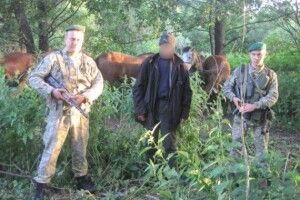 Прикордонники злапали українця, який намагався перегнати до Росії сімох коней